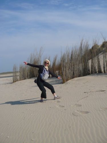 texel (45)