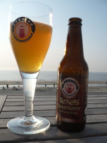 texel (5)