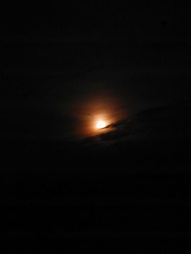 moonrise-112912.jpg