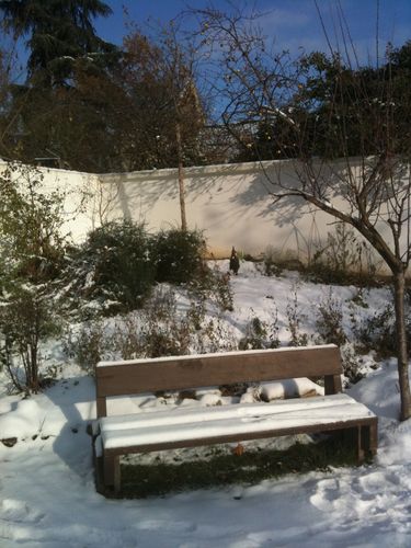 Photo 009