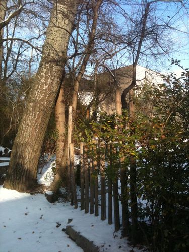Photo 036