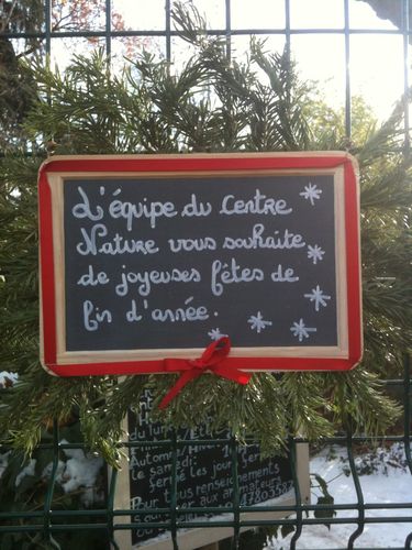 Photo 050