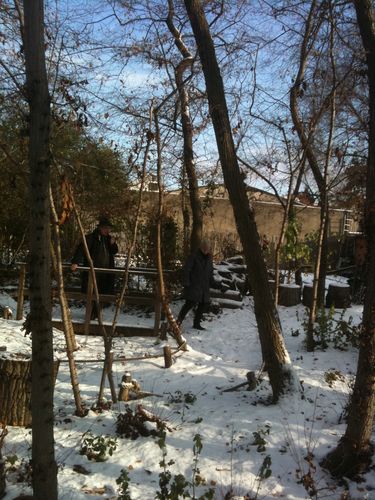 Photo 075