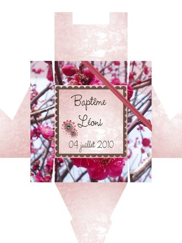 58filleboiterose