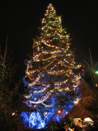 sapin-noel-metz-gare.jpg