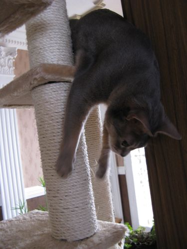 Photo-267.jpg