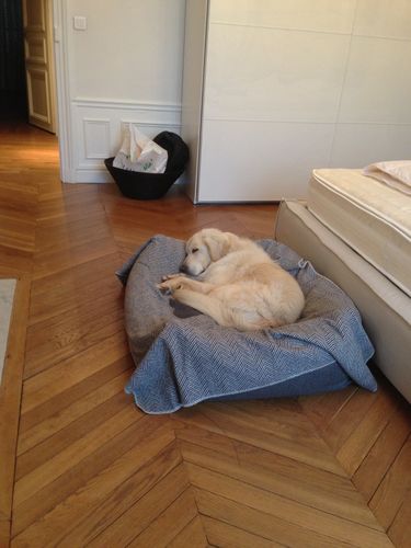 calin15