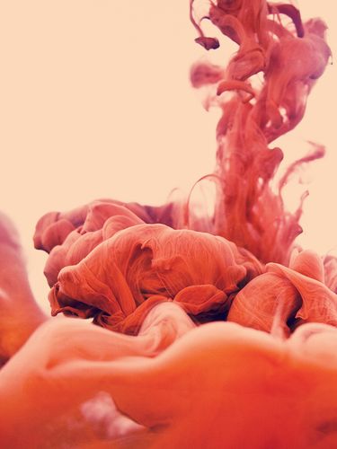 Alberto Seveso 1
