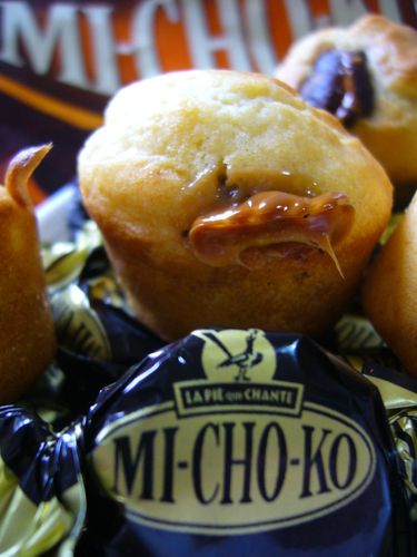muffins-michoco-012.jpg