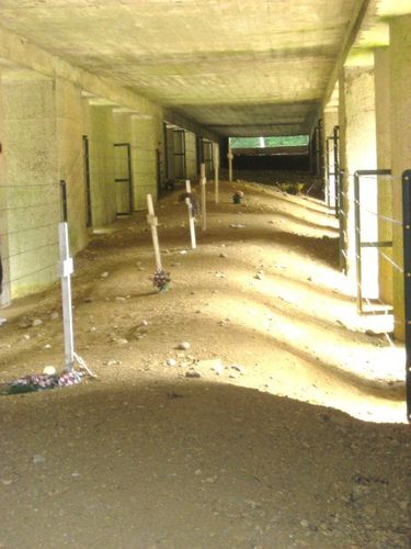 tranchee-baionnettes-9.JPG