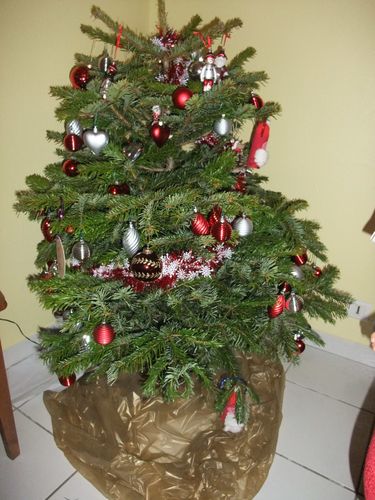DSCF9560.JPG