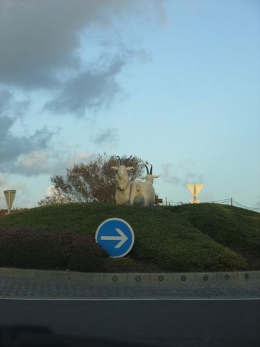 DSCF3407.JPG