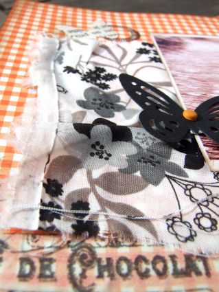 KIT OCT 10 PAPILLONS (5)