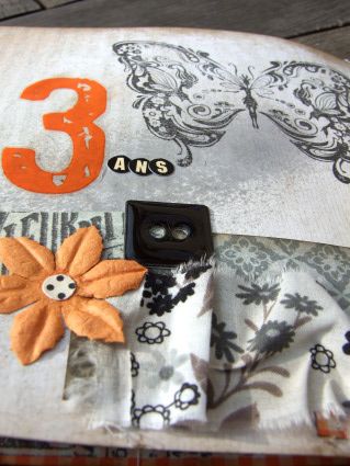 KIT OCT 10 PAPILLONS (7)
