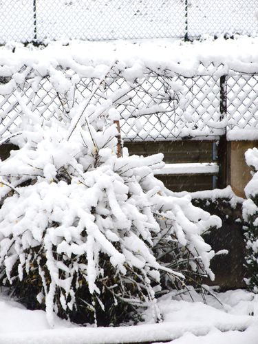 31 janvier (2)