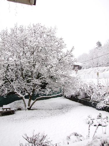 31 janvier (4)