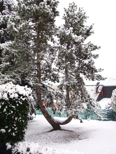 31 janvier (6)
