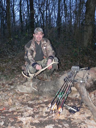 Cerf
