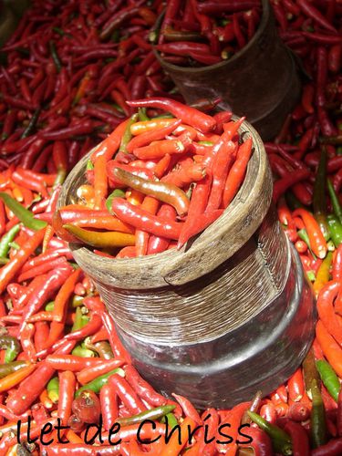 PINTE PIMENT IDC