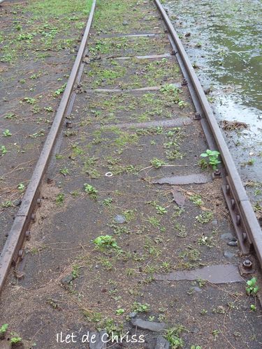 RAIL 1METRE