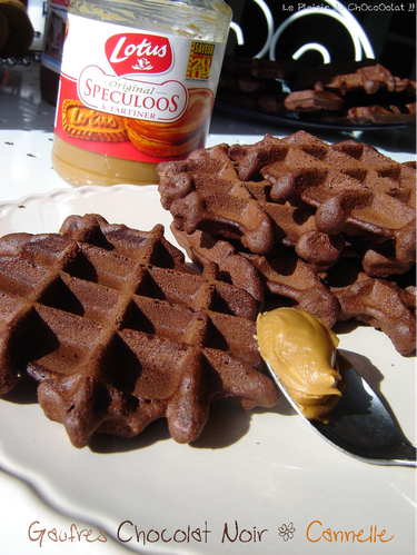 gaufres-chocolat-noir-cannelle-1.png