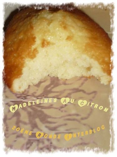madeleine-au-citron-20eme-ronde.jpg