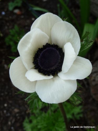 P1050926