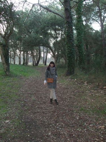 2010 1223chemin0035