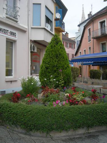 DSCN8320