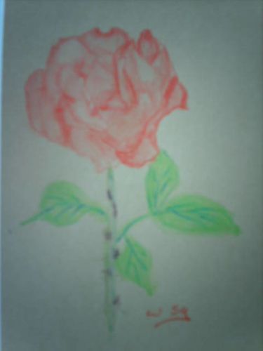 rose2