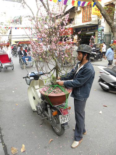 Hanoi (11)