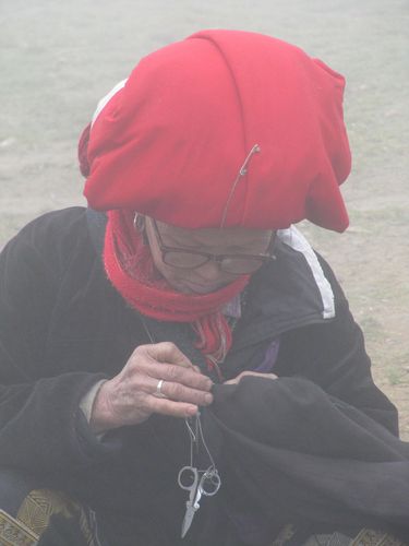 Sapa (6)