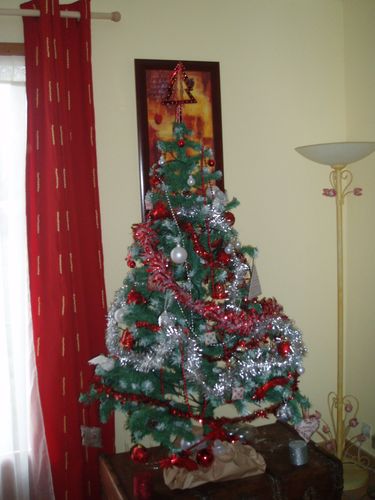 sapin Noël 2009