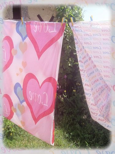 Printemps-2010 0052