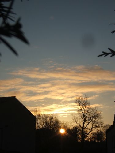 DSCF5514