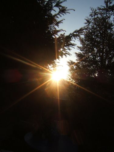 DSCF5588