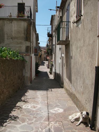 13-agosto-2011-116.JPG