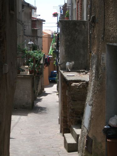 13-agosto-2011-169.JPG