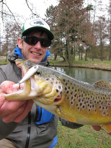 fario-demspey-fred