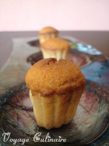 minicanelescaramelos.jpg