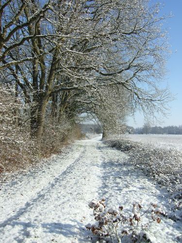 DSCF2701.JPG