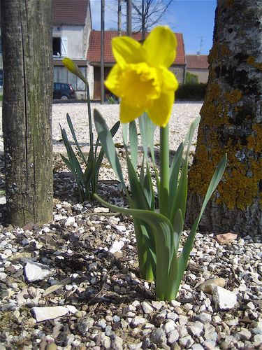 Mes-photos 1033