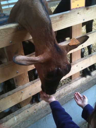 photo-2--copie-11.jpg