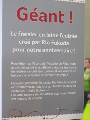 Aiguille-en-fete-2013-6596.jpg