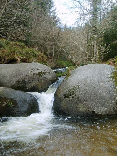 la mare aux sangliers