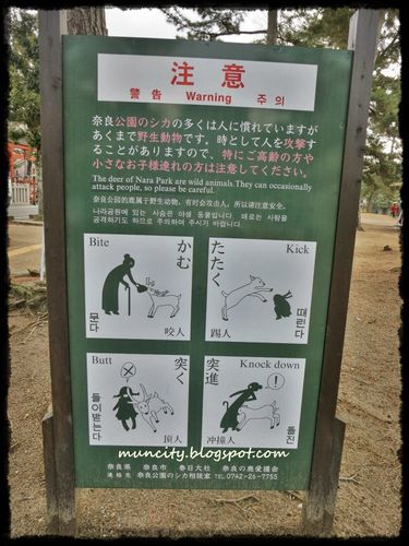 Affiche-parc-Nara.jpg