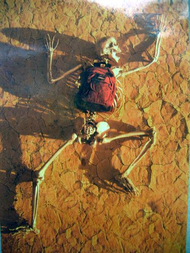 Vallée de la Mort Furnace Creek squelette b