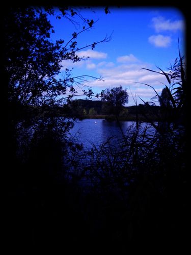 DSCN4430
