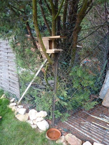 Photo-001-copie-1.jpg