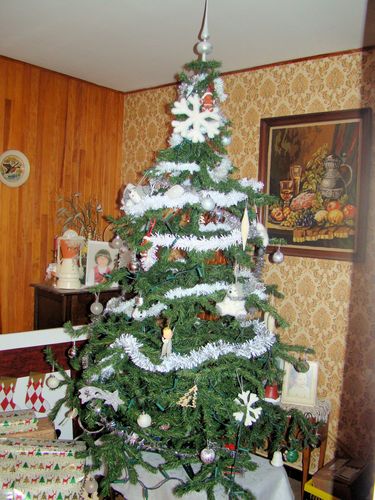 DSC05651